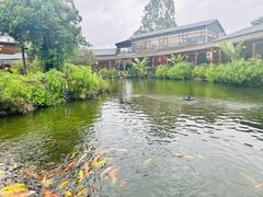 -大门水乡·顺德菜