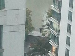 -新湖明珠城