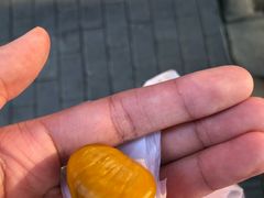 糖炒栗子-阿男野栗王(金门路店)