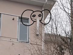 -本色.小马哥烧烤(五一路总店)