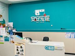 -安安宠医·臻爱宠物医院·宠保定点(营门口路分院)