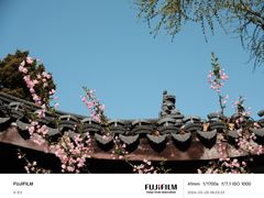 -莫愁湖公园