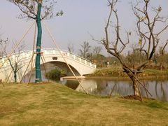 小桥流水-上海长兴岛郊野公园