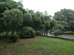 -春兰国宾馆(凤城河风景区老街店)