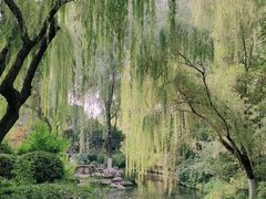 -趵突泉景区