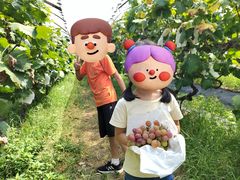 -马陆小张葡萄园农家乐