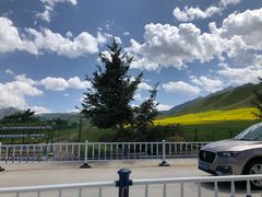 -扁都口生态休闲旅游区