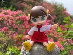 -木兰云雾山