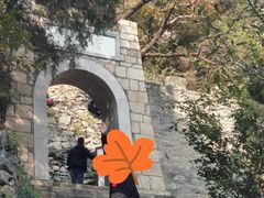 -北京鹫峰国家森林公园