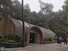 -铁山坪森林公园