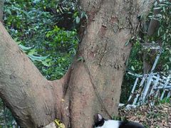 -虞山城墙