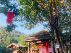 -广东天露山旅游度假区
