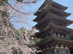 -醍醐寺
