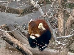 -青藏高原野生动物园