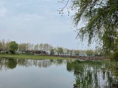 -金银湖国家城市湿地公园