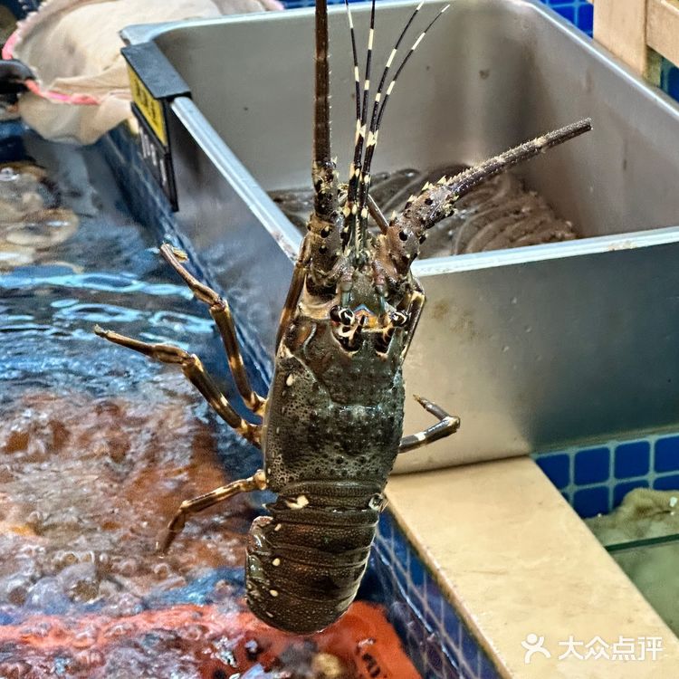 晋江！本地人都推荐的大排档。z