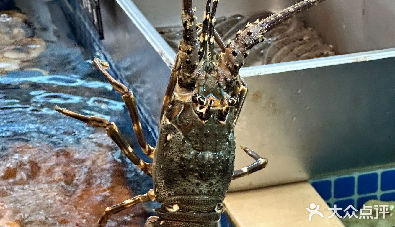 晋江！本地人都推荐的大排档。z