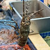 晋江！本地人都推荐的大排档。z