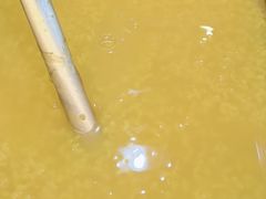 -阳阳中国饭(龙湖大兴天街)