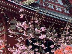 -浅草寺