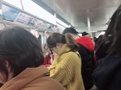 -大龙山(地铁站)