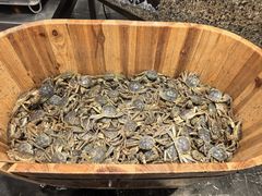 -初色海鲜自助(万丰路店)
