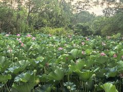 -烟水渔庄餐厅(西溪湿地店)