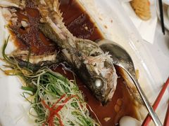 -沪碟·精菜坊(闵行店)