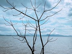 -深圳湾公园(南山区)
