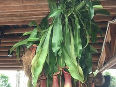 -顺德了能馆(虎门店)