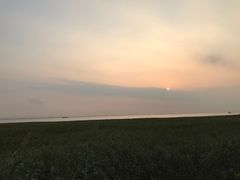 -瀛洲公园
