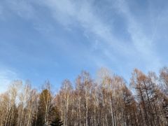 -长白山万达国际滑雪场