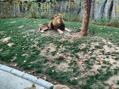 -北京野生动物园