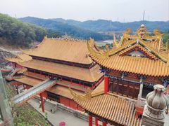 -东莞市大岭山森林公园