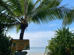 -三亚海棠湾万丽度假酒店