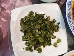 -院8里·少城记忆老川菜(宽窄巷子店)