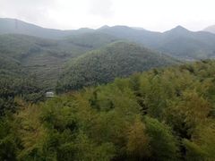 -宁波浙东大竹海景区