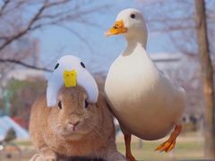 -京玉菲饭店(李村店)