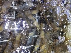 -聚盛源蒸汽海鲜火锅烤肉自助(巨川金海岸购物广场店)