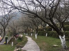 -广东天露山旅游度假区