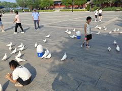 -天津妈祖文化园