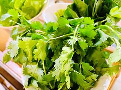 香菜-傣妹火锅(四川北路店)