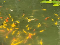 -三亚太阳湾柏悦酒店