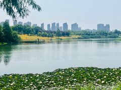 -洋湖国家湿地公园