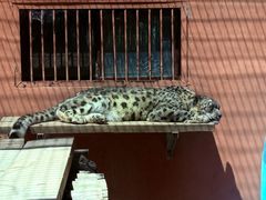 -青藏高原野生动物园