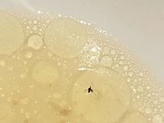 -同仁四季椰子鸡(福田东园总店)