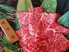 -老乾杯和牛烧肉(王府中环店)