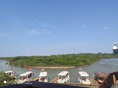 -东寨港红树林旅游区