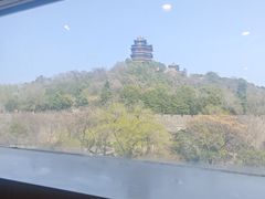 -七欣天香辣蟹火锅(南京建宁路大观天地店)