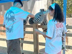 -水上乐园·欢乐世界